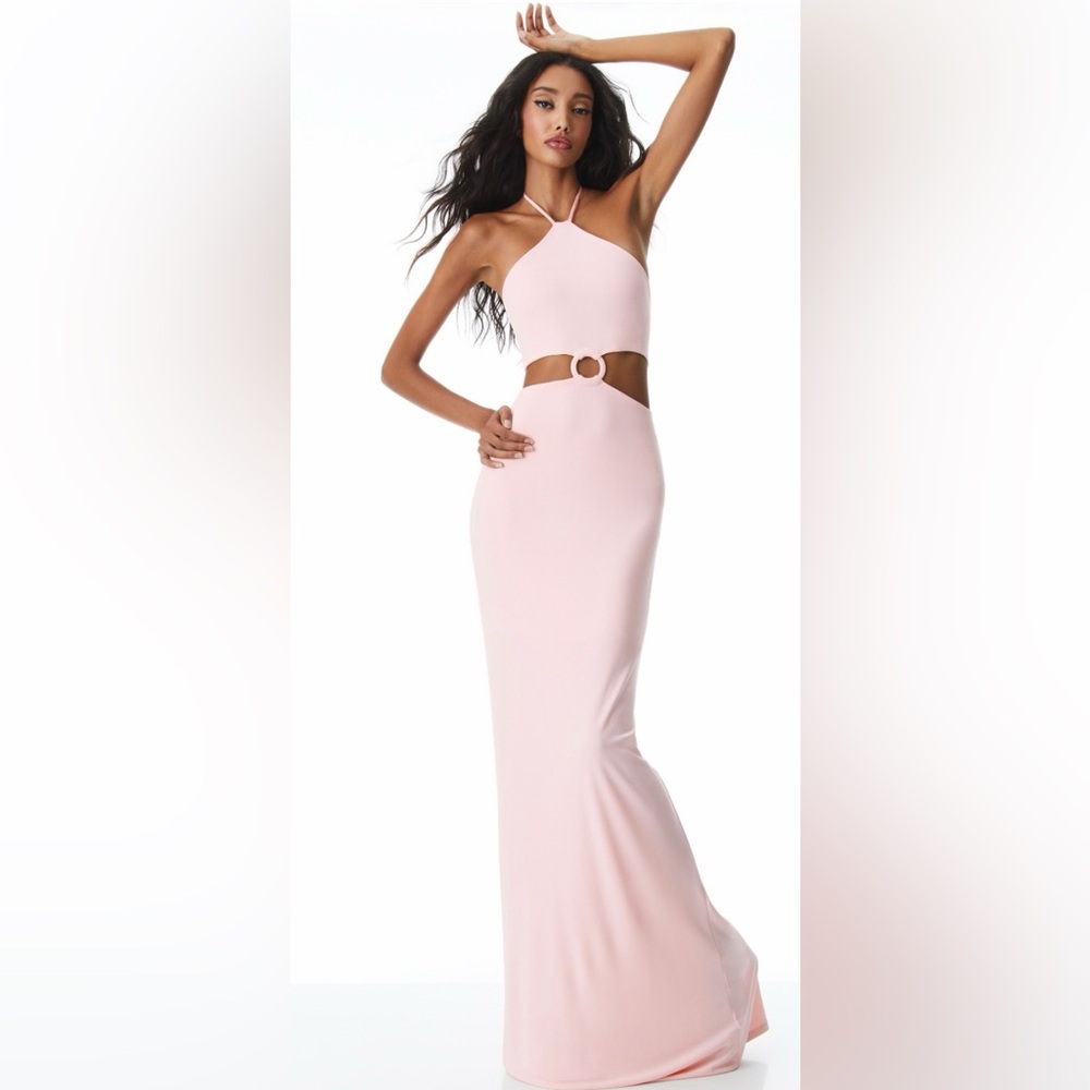 Alice + Olivia Marguerite Rose Pink Cutout Long Halter Dress Size 6 New With Tag